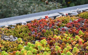 the cost of Sweffling green roof installation