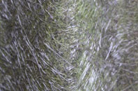 Sweffling fibreglass roof work